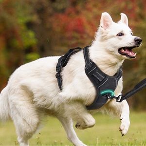 Rabitgoo No Pull Harness for Dogs. Size Small